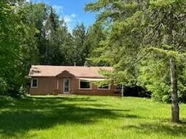 4241 Government Rd, Moran, MI 49760