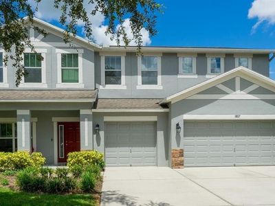 1807 Raven Manor Dr, Dover, FL, 33527
