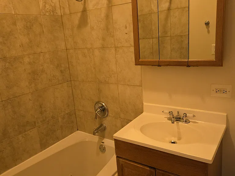 6542 S Cottage Grove Ave #1 — Photo 22