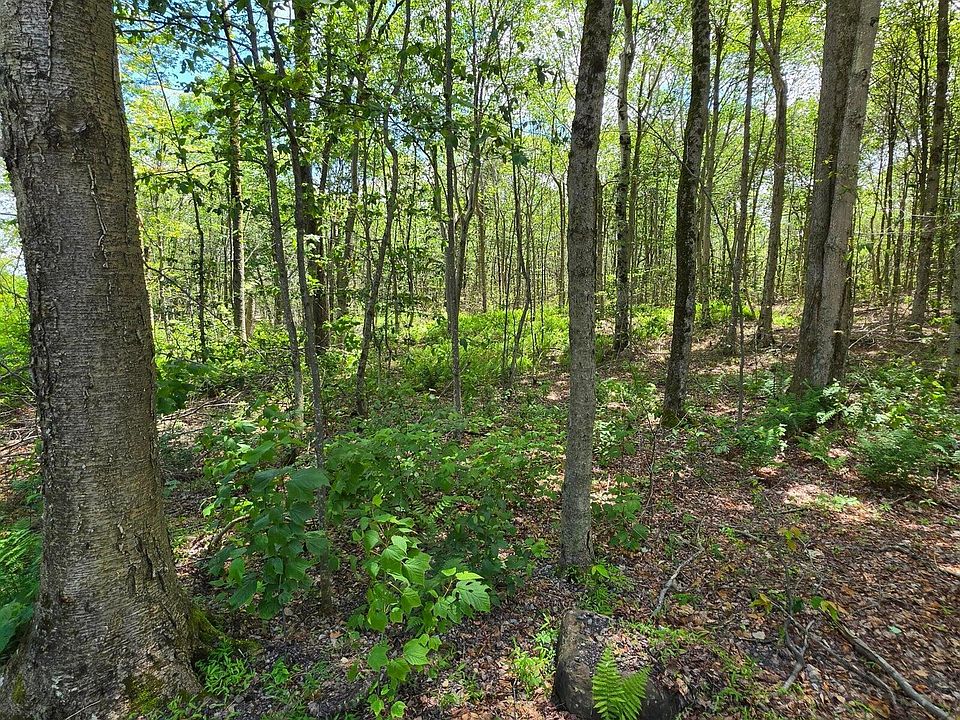 1st image of PARCEL 6 Pioneer Trl Lot 1