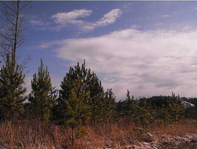 2nd image of 3 Horns Creek Rd