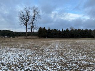 N Thomas Rd, Bad Axe, MI 48413