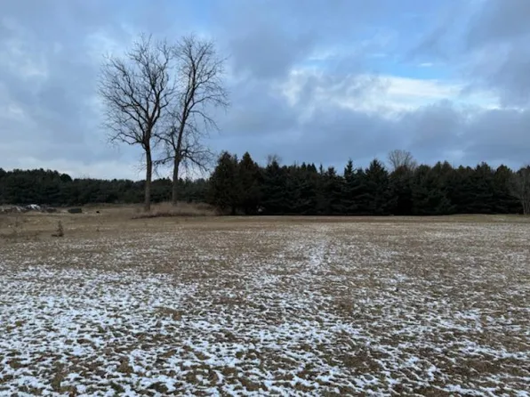 N Thomas Rd, Bad Axe, MI 48413