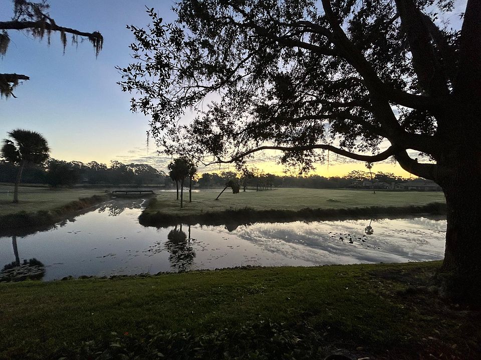 Morning view from kitchen, dining room and porch