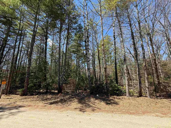 Lot 14 Partridgeberry Circle #14, Tuftonboro, NH 03816
