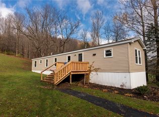 9513 Donley Rd, Cassville, NY 13318