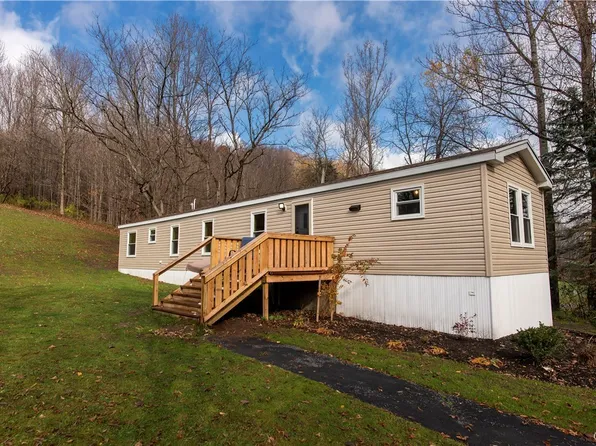 9513 Donley Rd, Cassville, NY 13318