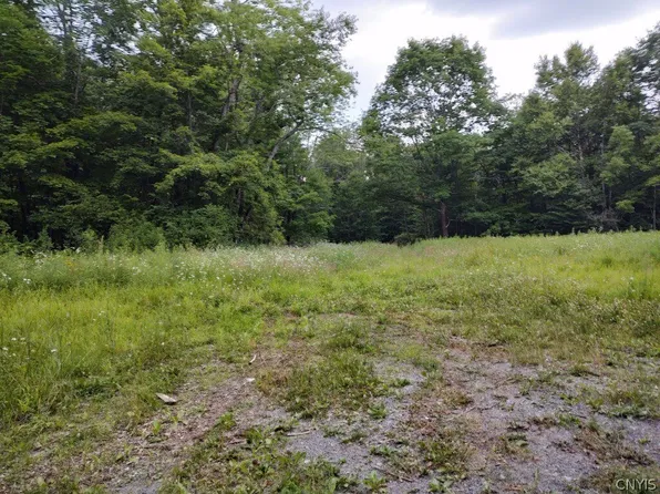 0 Ward Loomis Rd #15, Oxford, NY 13830