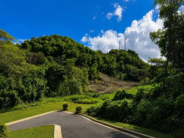1 Highway 686 #Km-1.2, Manati, PR 00674