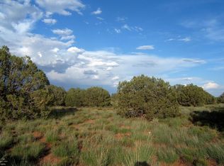 4317 S Pinto Rd, SNOWFLAKE, AZ 85937