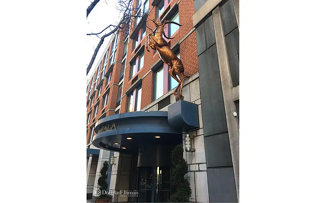 Sold by Douglas Elliman | media 18