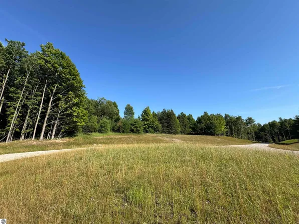 LOT 6 E Bellinger Rd, Cedar, MI 49621