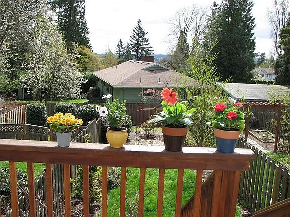 deck view 1