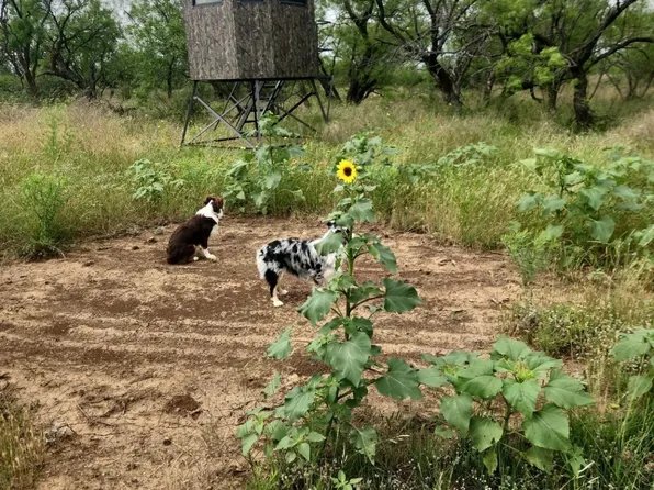 1050 County Road 258, Santa Anna, TX 76878