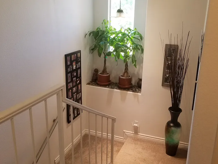 25701 Holiday Cir #C — Photo 12