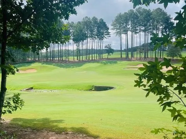 120 Hawks Ct #71, Ball Ground, GA 30107