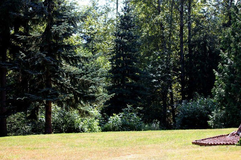 Back yard has fantastic southern exposure, and backs to gorgeous wooded space. Room to run or relax 