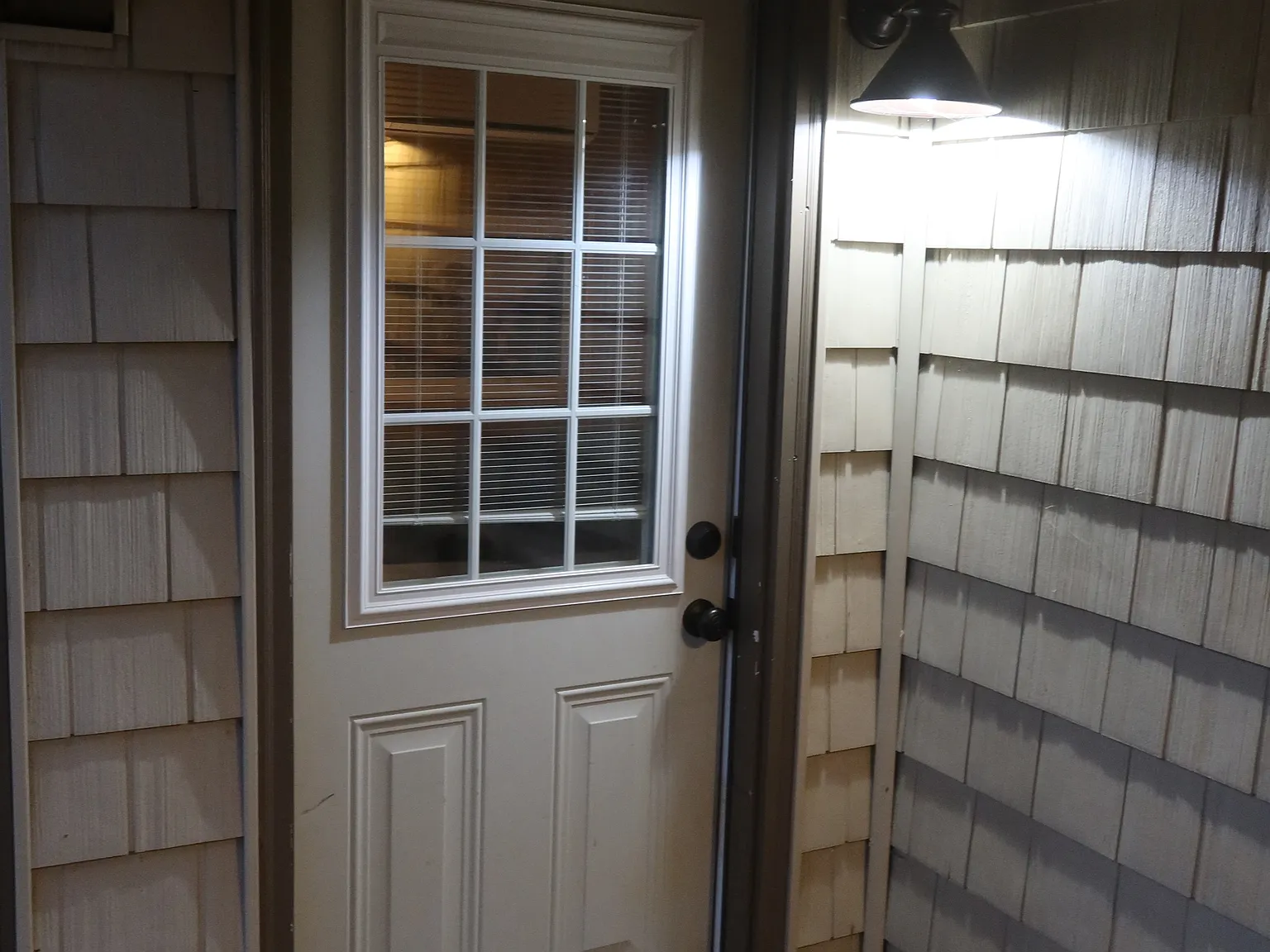 1 bed, $1,250 — Photo 3
