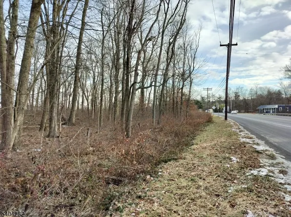 147 Rocktown Rd, East Amwell Twp., NJ 08551