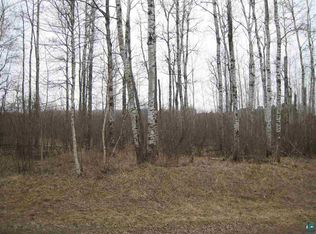 Xxx Erickson Rd, Esko, MN 55733