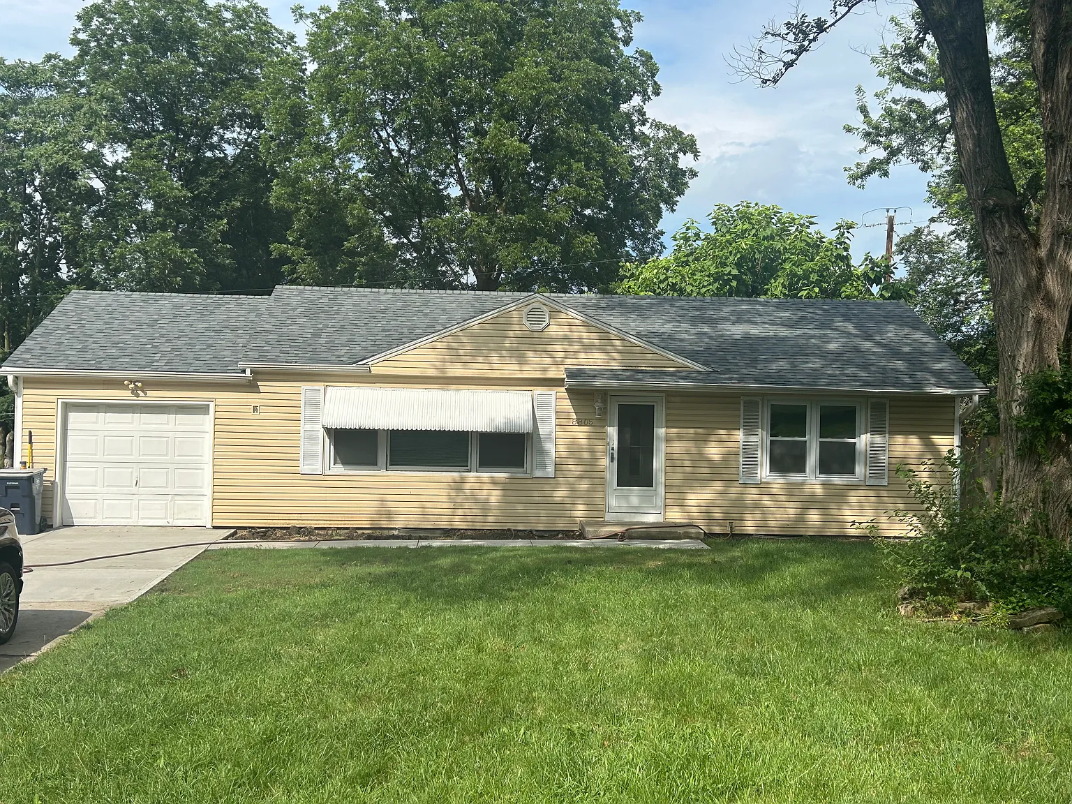 3 bed, 1100 sqft, $1,650 — Photo 4