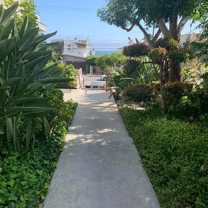 Walkway from the street to the building