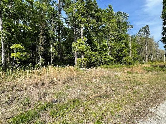 Turkey Trot Rd, Florahome, FL 32140 | Zillow