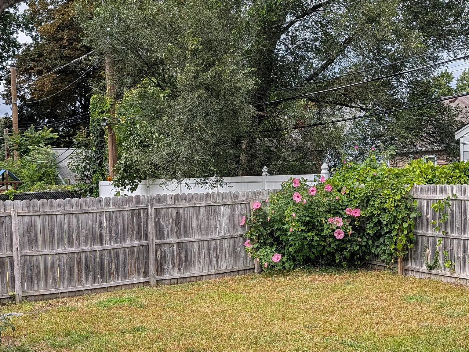 3 bed, 1088 sqft, $2,200 — Photo 2