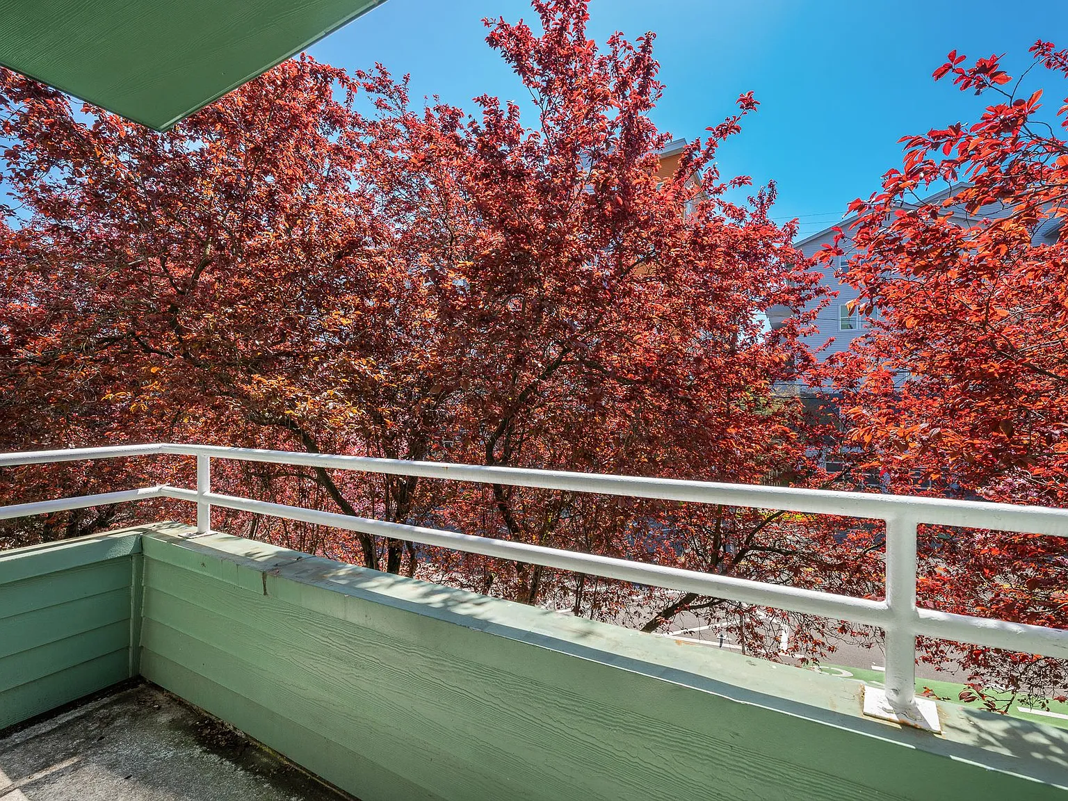 Avalon West Apartments — Photo 4