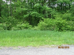 47291 Shoshone Trl, Negley, OH 44441