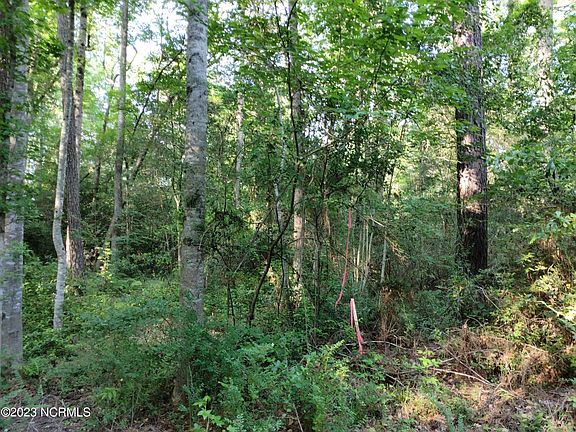 5th image of 207 Hillcrest Road