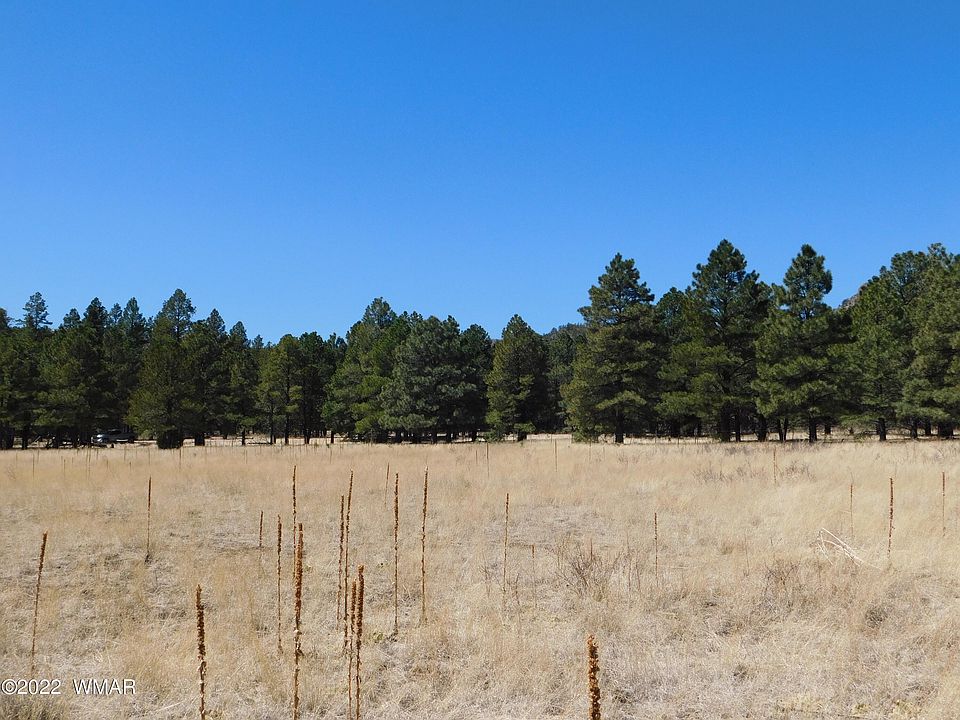 2269 Cr, Nutrioso, AZ 85932 Zillow