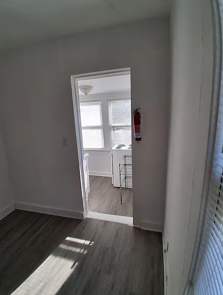 11 Riberia St #2 — Photo 22