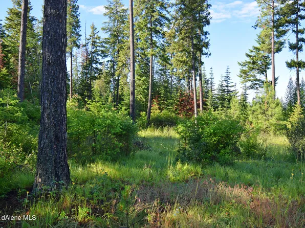 4 Pintail Dr, Bonners Ferry, ID 83805