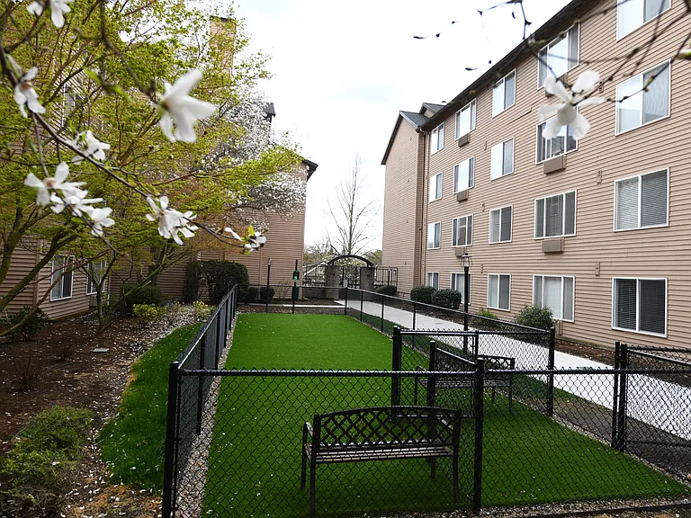 Axcess 15 Apartments — Photo 13