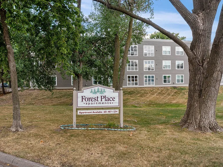 Forest Place Apartments — Photo 19