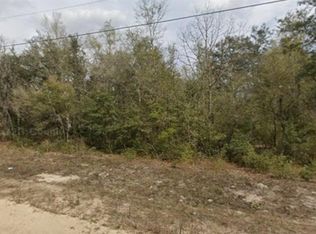 Janet Ave LOT 11, Interlachen, FL 32148