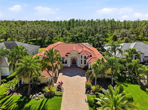 10526 Cory Lake Dr, Tampa, FL 33647