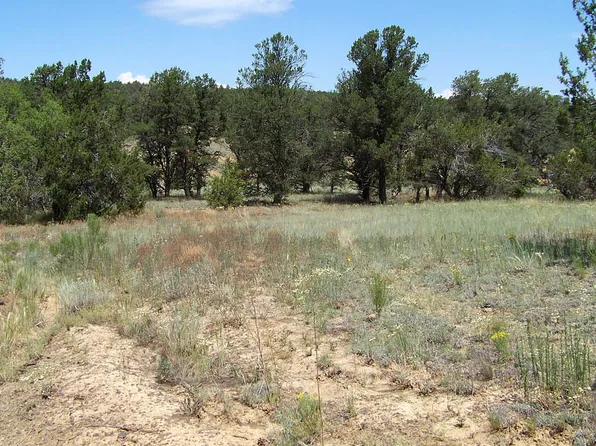 56 Sagebrush Rd, Ramah, NM 87321