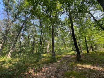 X McLain Rd, Grantsburg, WI, 54840