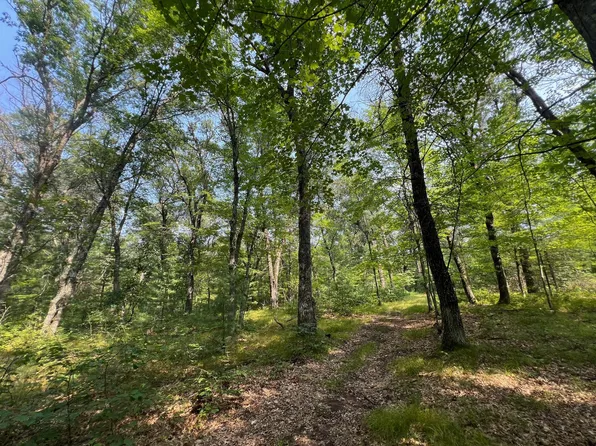 X McLain Rd, Grantsburg, WI 54840