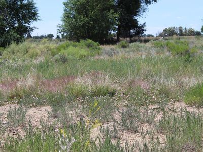 Tbd Hidden Mesa Dr, Pueblo, CO, 81006