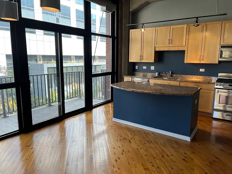 210 S Desplaines St #307 — Photo 1