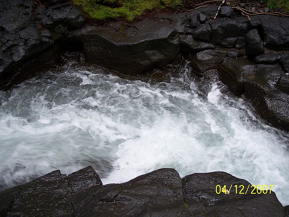 4th image of Usfs 7550 #Tract 10