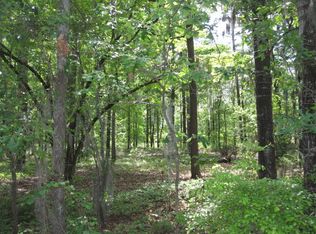 5 Hickory Landing Ct, Elloree, SC 29047