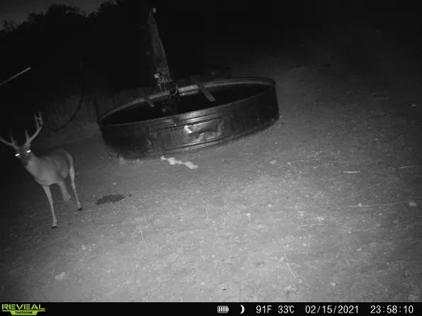 100 County Road 186, Mullin, TX 76864