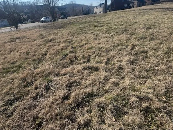 0 Bonifay Dr Lot 81-83, Smyrna, TN 37167