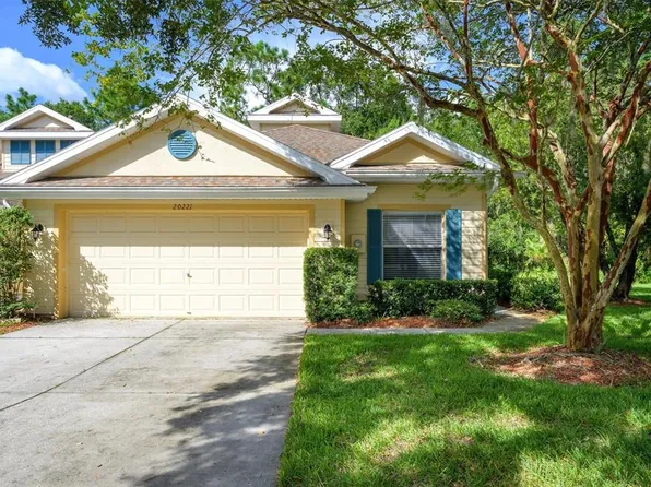 20221 VINTAGE OAKS PLACE, TAMPA, FL 33647