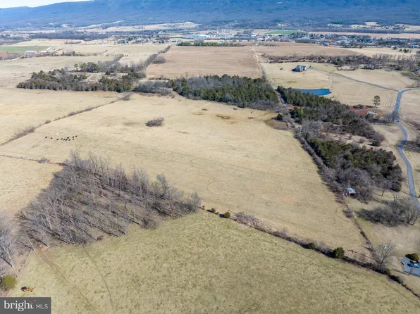 Tisinger Rd, Mount Jackson, VA 22842