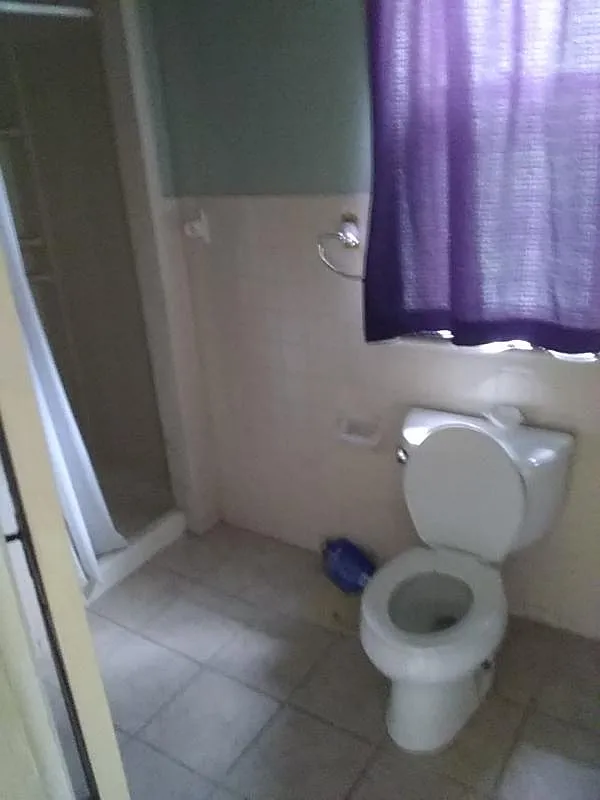 1 bed, 150 sqft, $375 — Photo 4